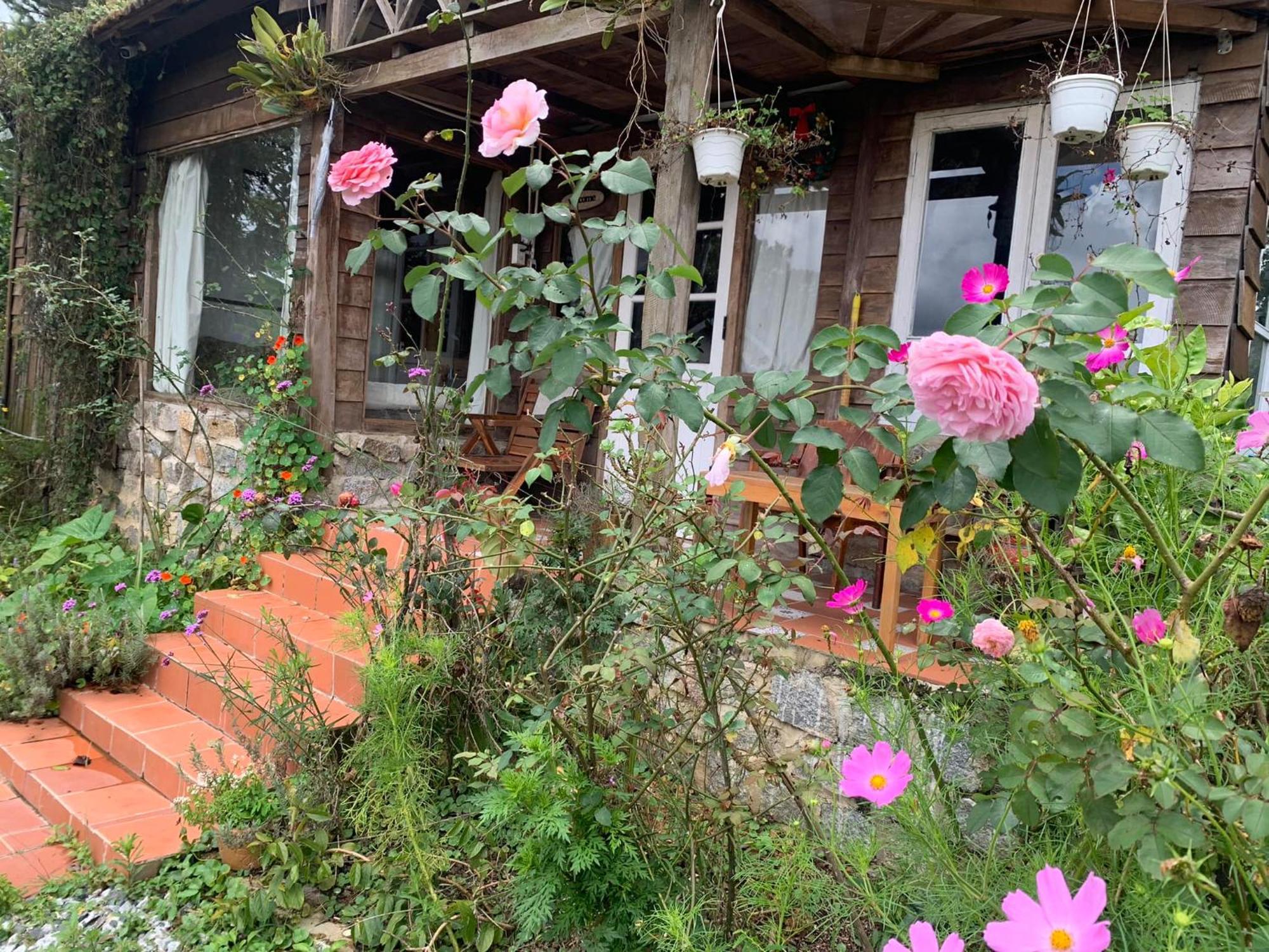 Romantic House On A Pine Hill Dalat Kültér fotó