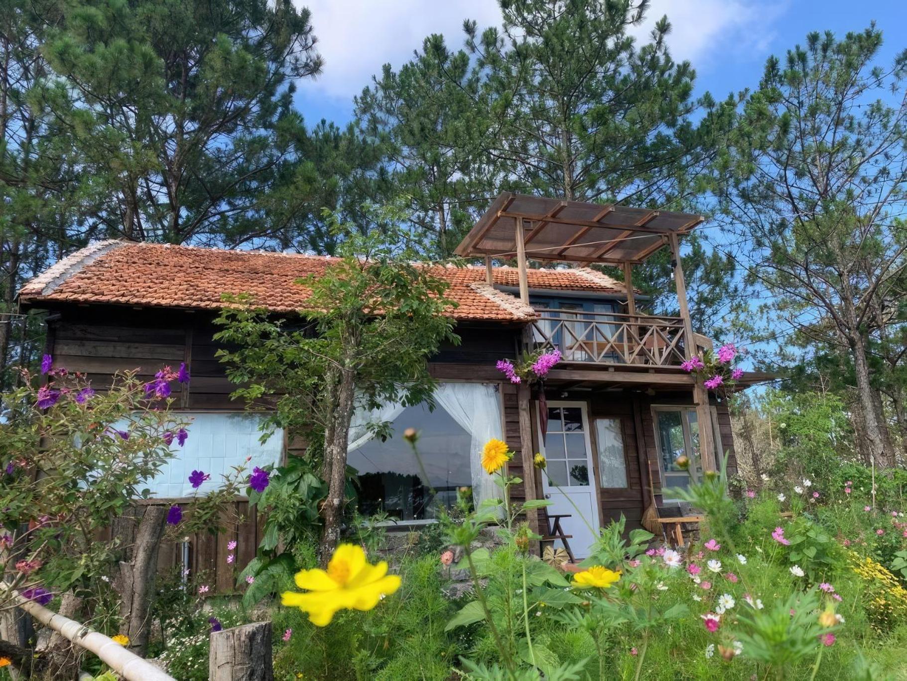 Romantic House On A Pine Hill Dalat Kültér fotó