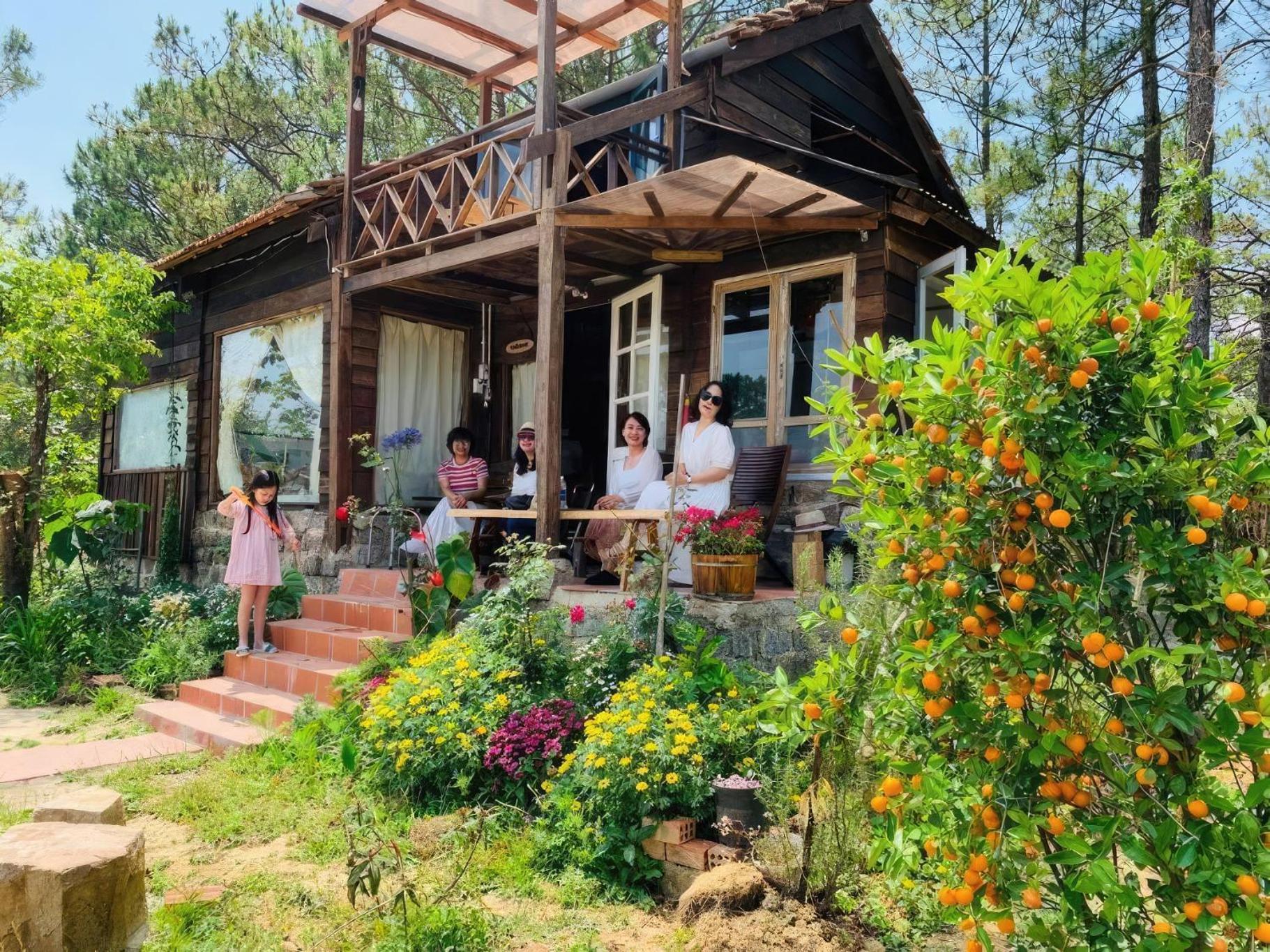 Romantic House On A Pine Hill Dalat Kültér fotó