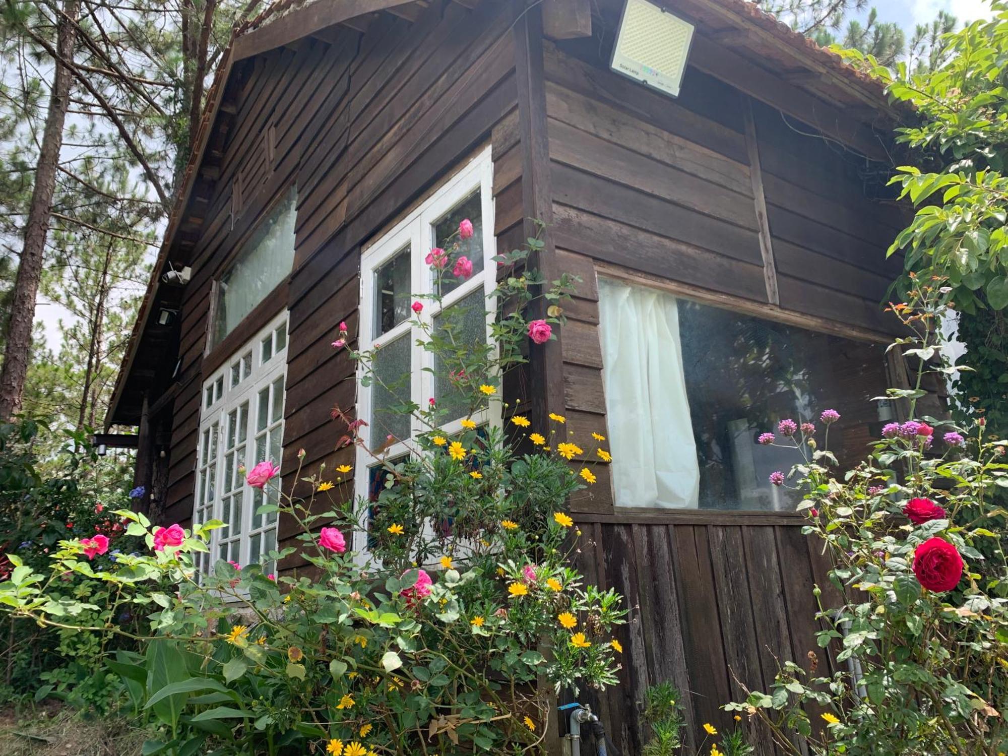 Romantic House On A Pine Hill Dalat Kültér fotó